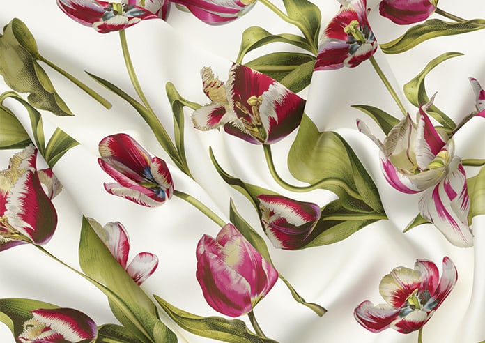 Carries, Cosmos - Roman Blind - Image 4